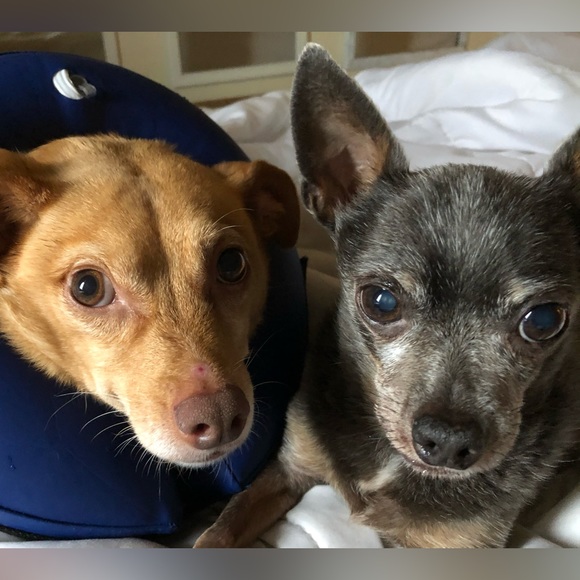 Meet your Posher, James - Picture 9 of 9